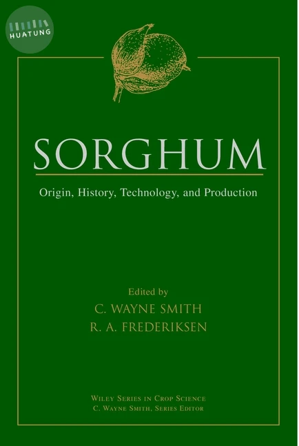 Sorghum 