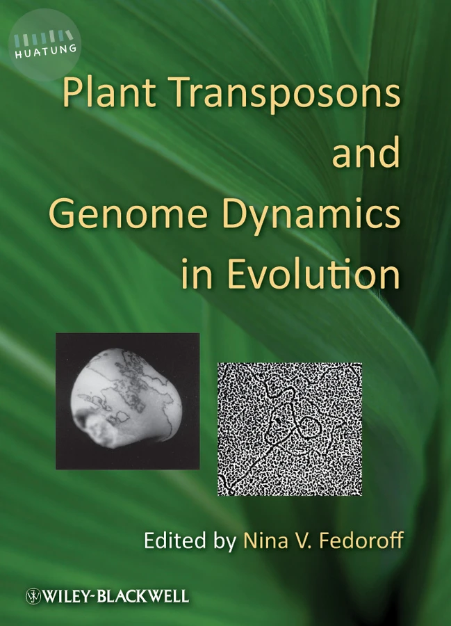 Plant Transposons and Genome Dynamics in Evolution 