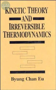 Kinetic Theory and Irreversible Thermodynamics 