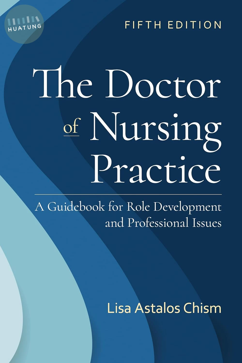 The Doctor of Nursing Practice: A Guidebook for Role Development and Professional Issues: A Guidebook for Role Development and Professional Nursing Practice (5版)