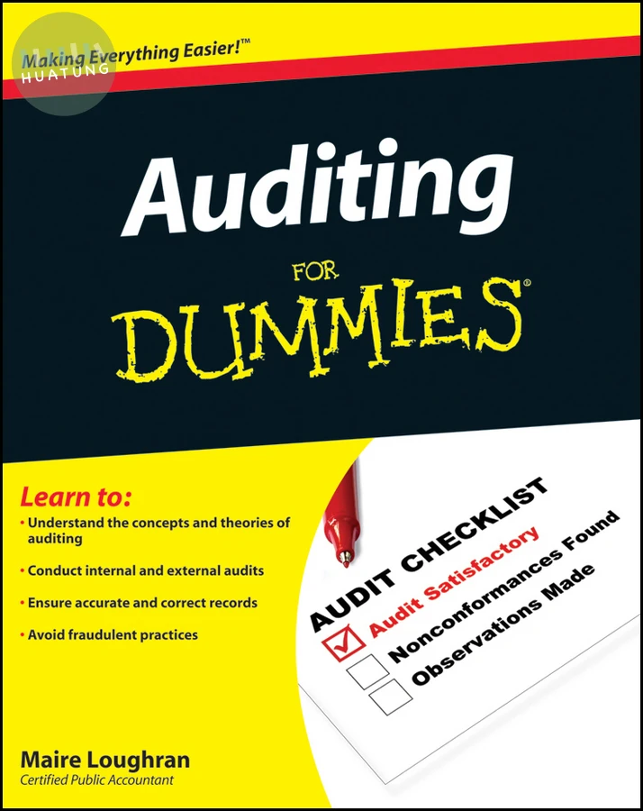 Auditing For Dummies 