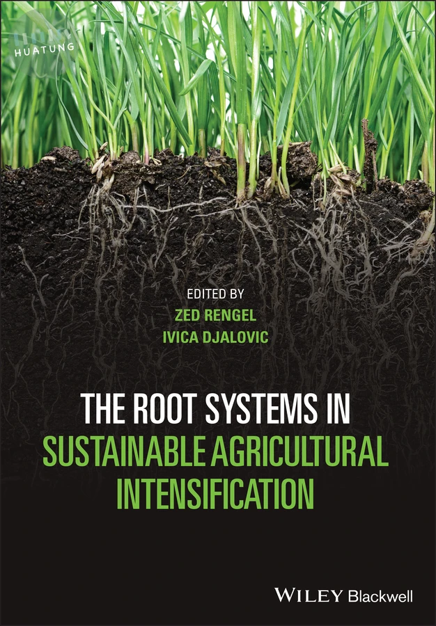 The Root Systems in Sustainable Agricultural Intensification 