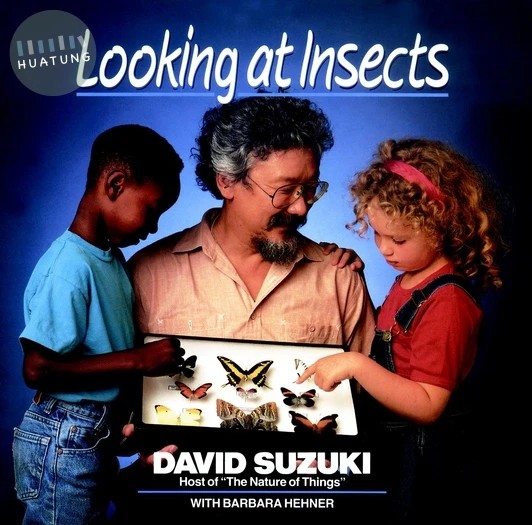 Looking at Insects 