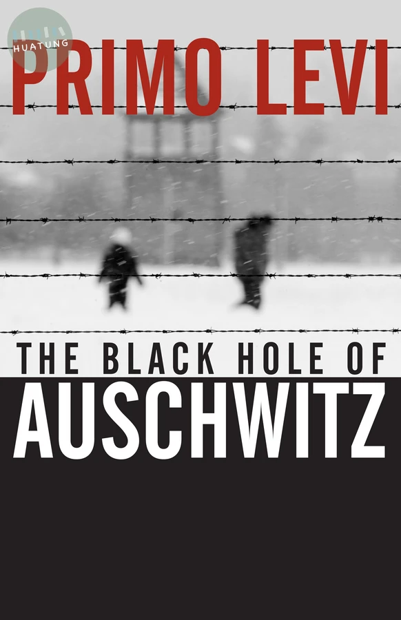 The Black Hole of Auschwitz 