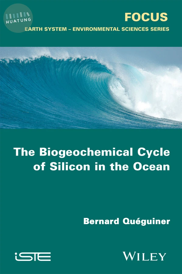 The Biogeochemical Cycle of Silicon in the Ocean 
