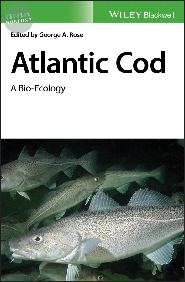 Atlantic Cod 