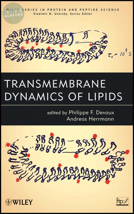 Transmembrane Dynamics of Lipids 