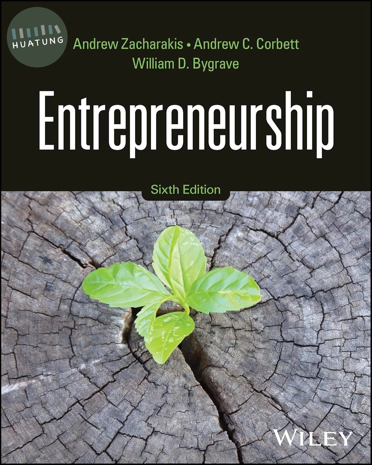 Entrepreneurship (6版)