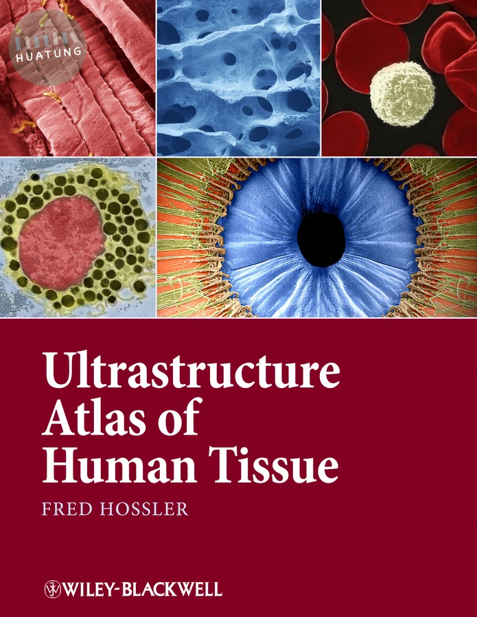 Ultrastructure Atlas of Human Tissues 