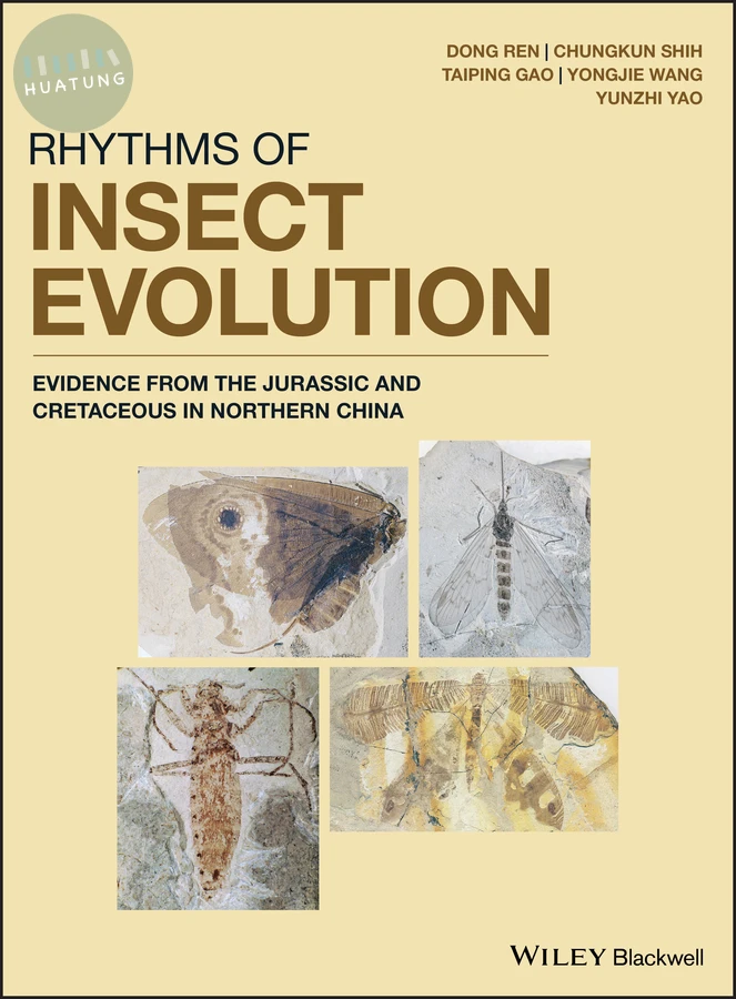 Rhythms of Insect Evolution 