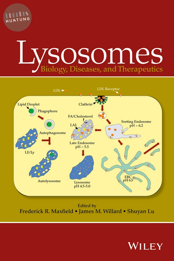Lysosomes 