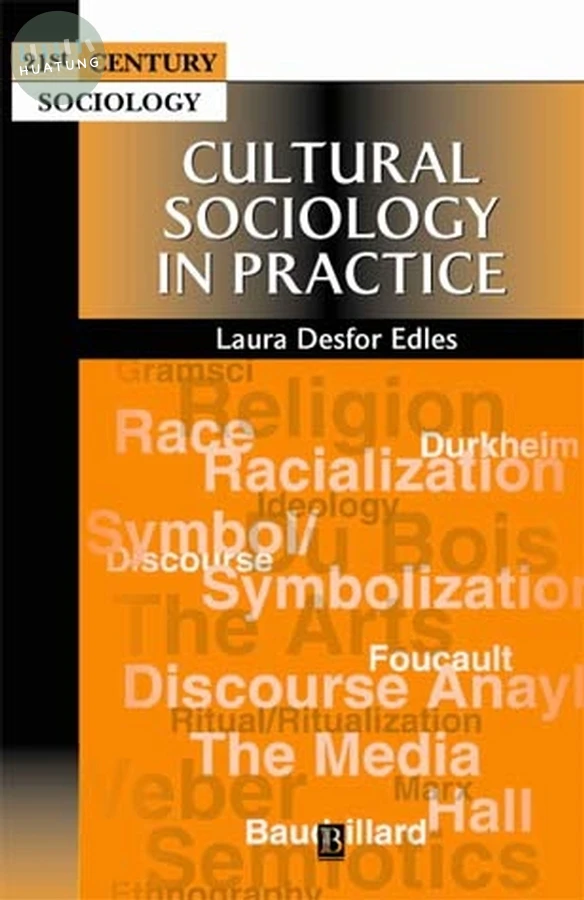 Cultural Sociology in Practice 