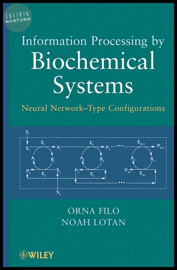 Information Processing by Biochemical Systems 