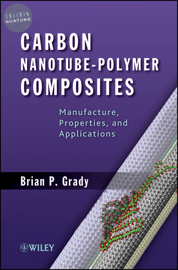Carbon Nanotube-Polymer Composites 