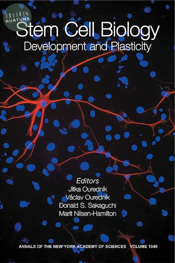 Stem Cell Biology 
