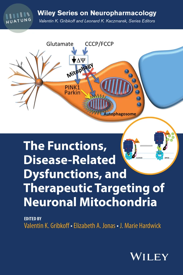 The Functions, Disease-Related Dysfunctions, and Therapeutic Targeting of Neuronal Mitochondria 
