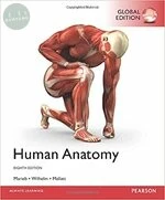 Human Anatomy (8版)