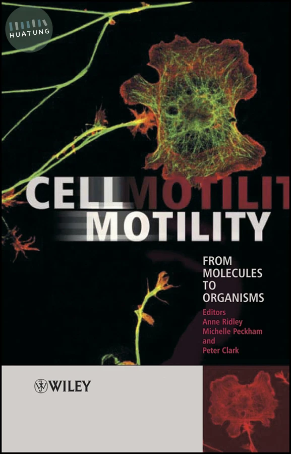 Cell Motility 