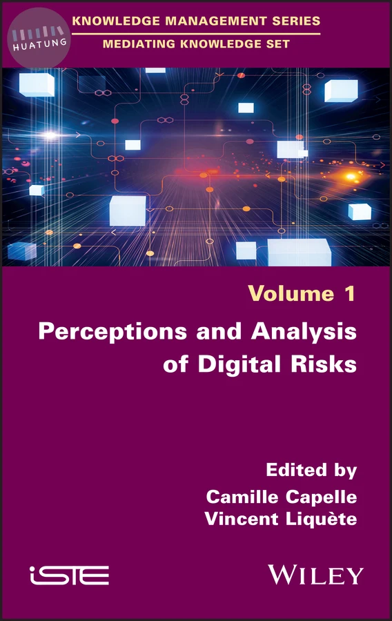 Perceptions and Analysis of Digital Risks 