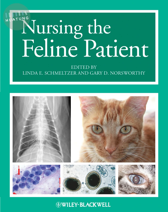 Nursing the Feline Patient 