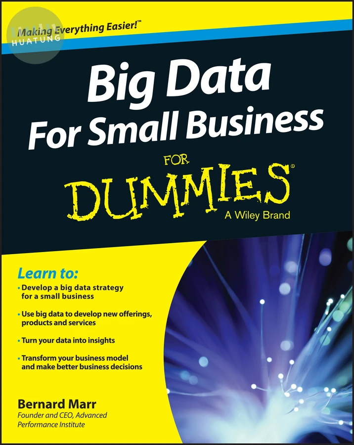 Big Data For Small Business For Dummies 