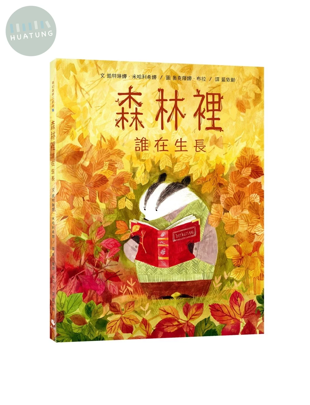 奇幻森林三部曲3：森林裡誰在生長（附：義大利進口美術紙精印內頁插畫明信片） (1版)