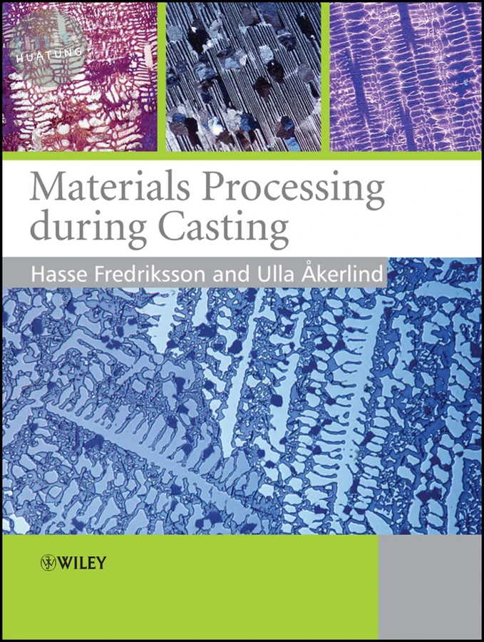 Materials Processing During Casting 
