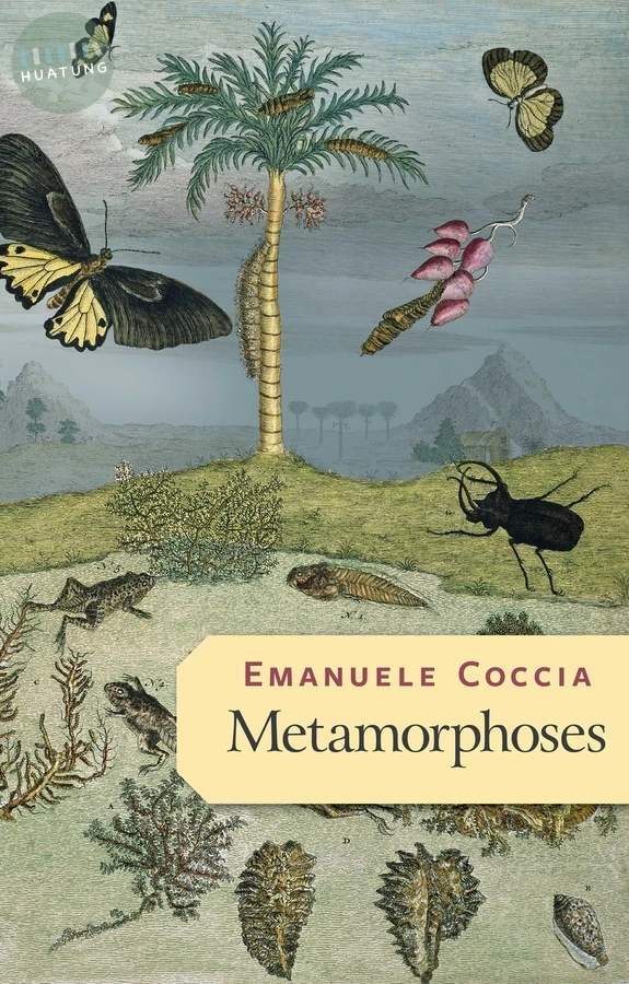 Metamorphoses 