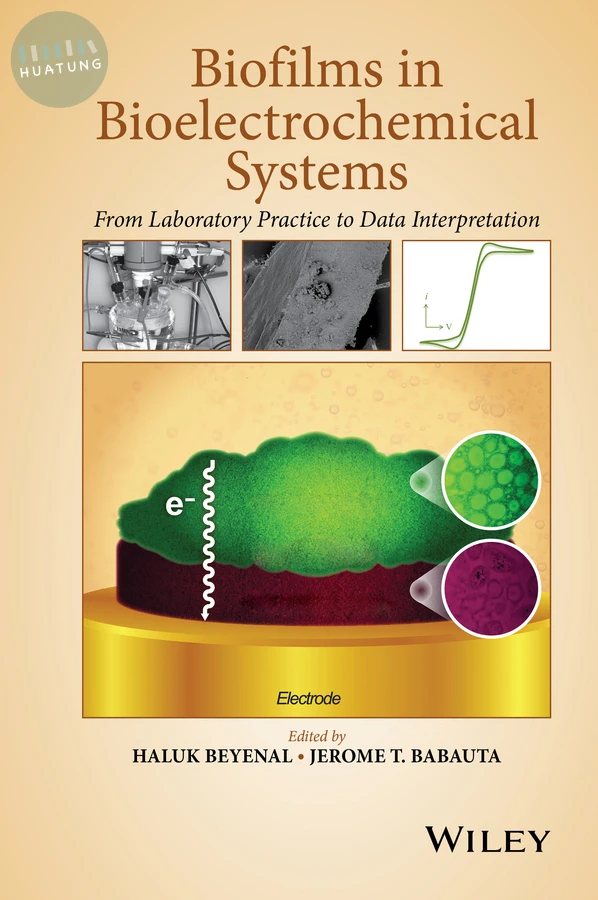 Biofilms in Bioelectrochemical Systems 