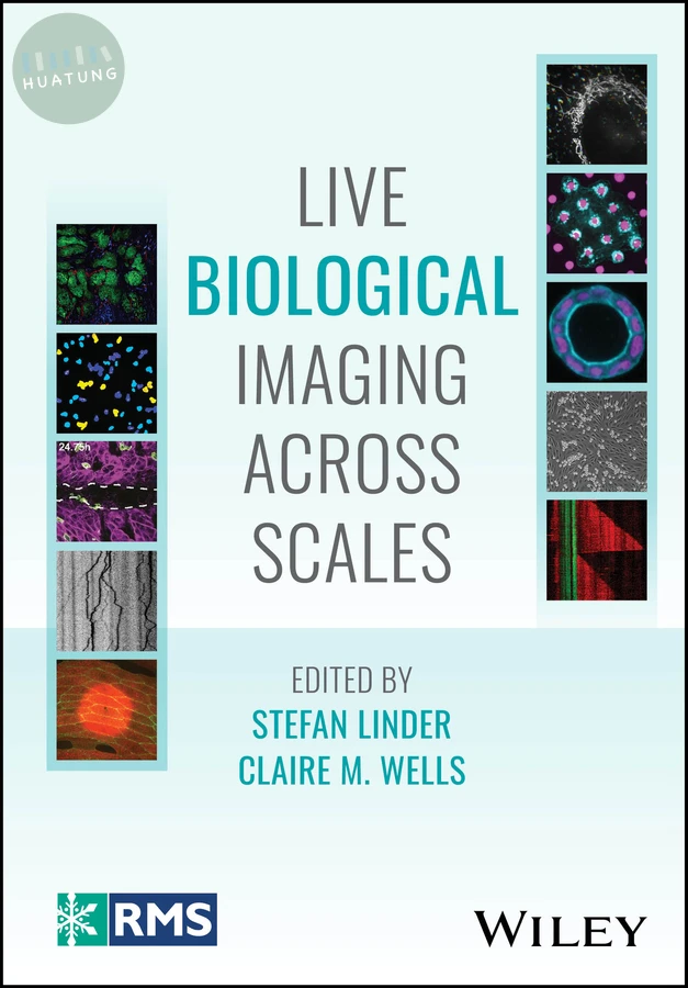 Live Biological Imaging Across Scales 