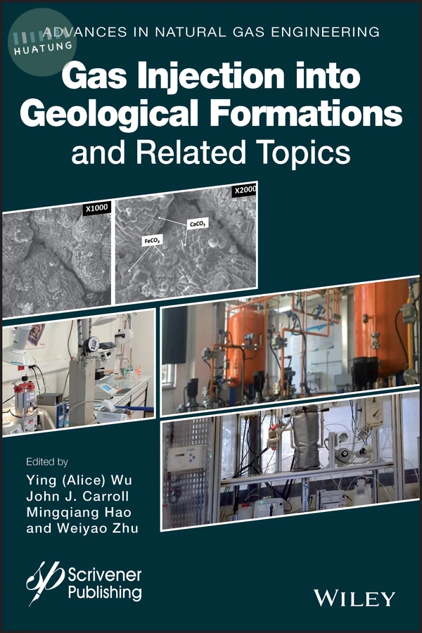 Gas Injection into Geological Formations and Related Topics 