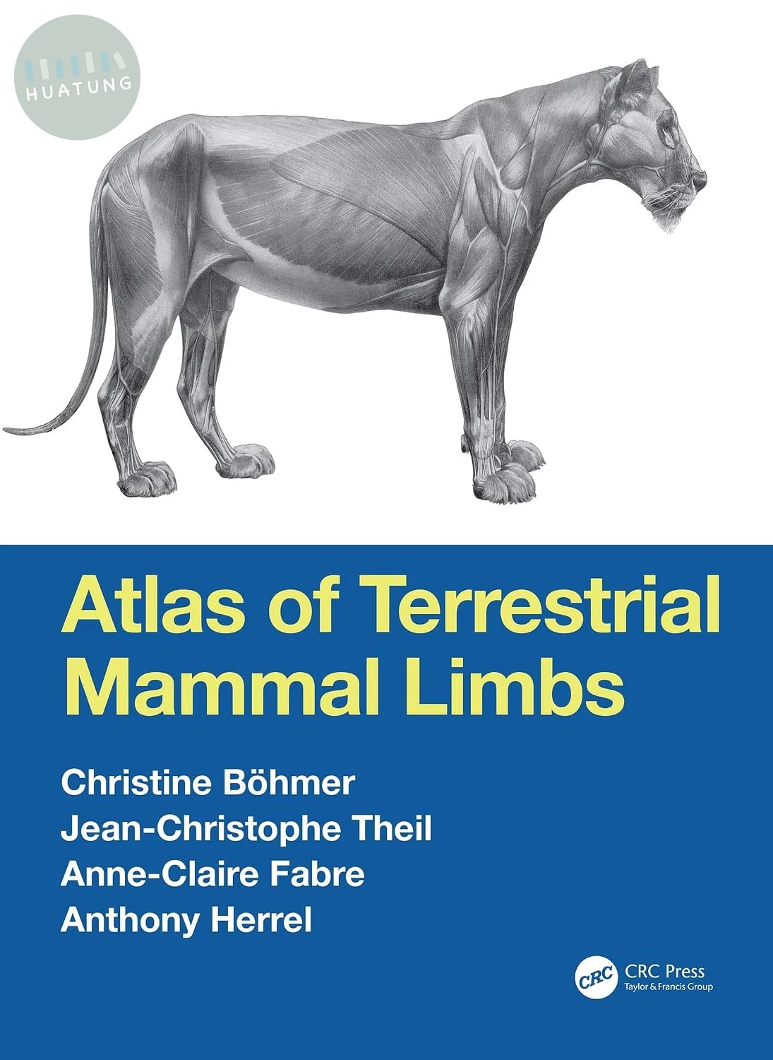 Atlas of Terrestrial Mammal Limbs 