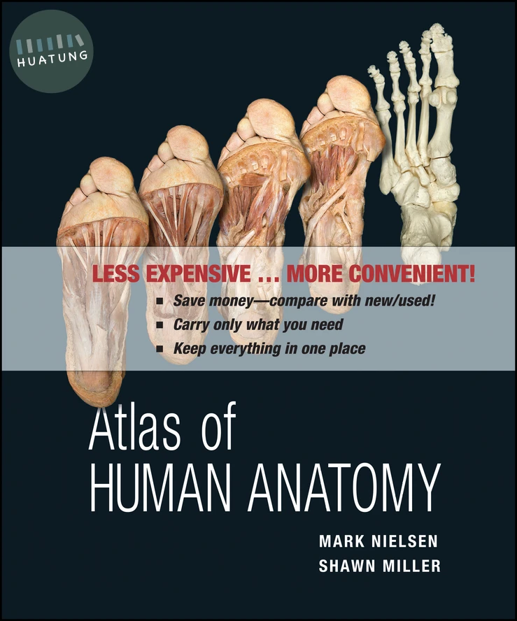 Atlas of Human Anatomy 