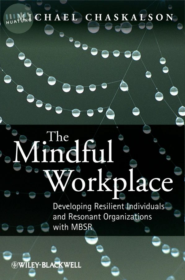 The Mindful Workplace 