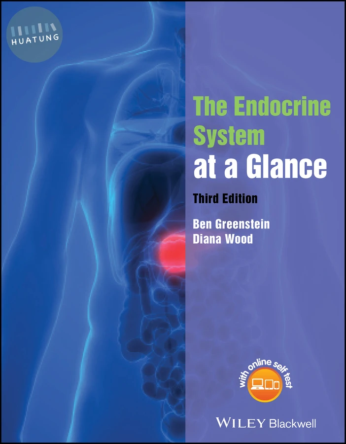 The Endocrine System at a Glance 