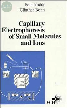 Capillary Electrophoresis of Small Molecules and Ions 