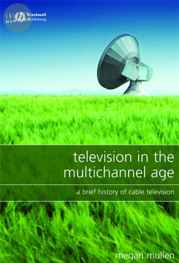 Television in the Multichannel Age 