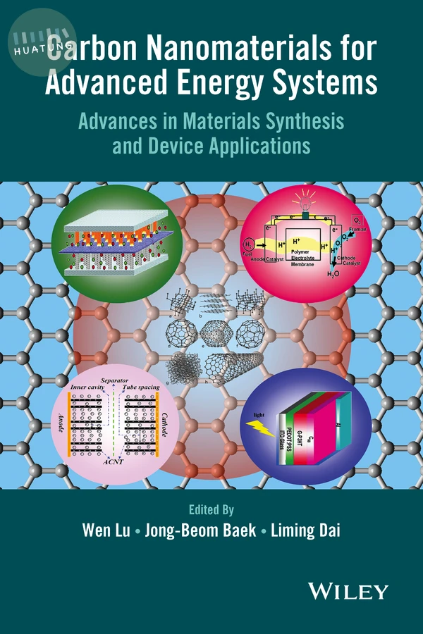 Carbon Nanomaterials for Advanced Energy Systems 