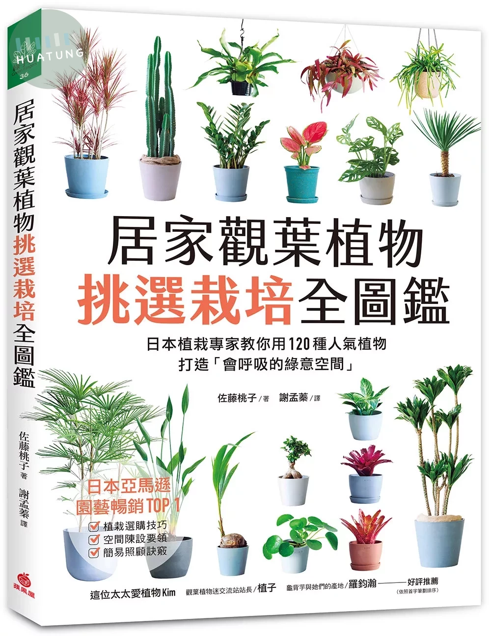 居家觀葉植物挑選栽培全圖鑑：日本植栽專家教你用120種人氣植物，打造「會呼吸的綠意空間」 (1版)