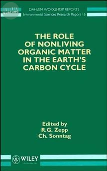 The Role of Nonliving Organic Matter in the Earth's Carbon Cycle 