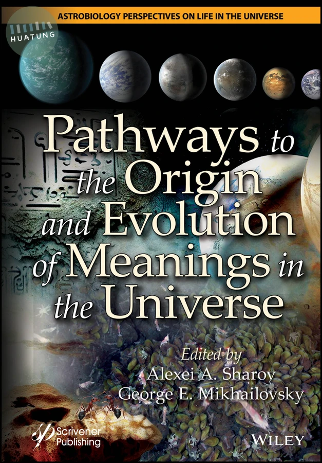Pathways to the Origin and Evolution of Meanings in the Universe 
