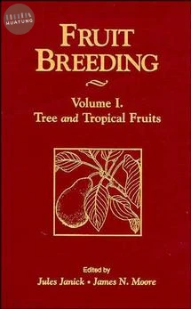 Fruit Breeding, Tree and Tropical Fruits 