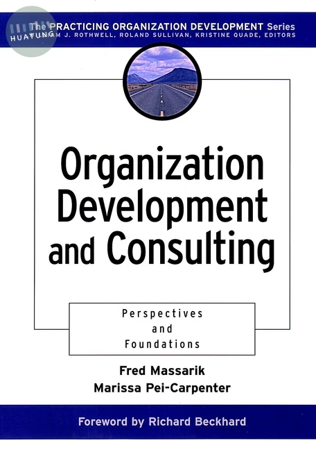 Organization Development and Consulting 
