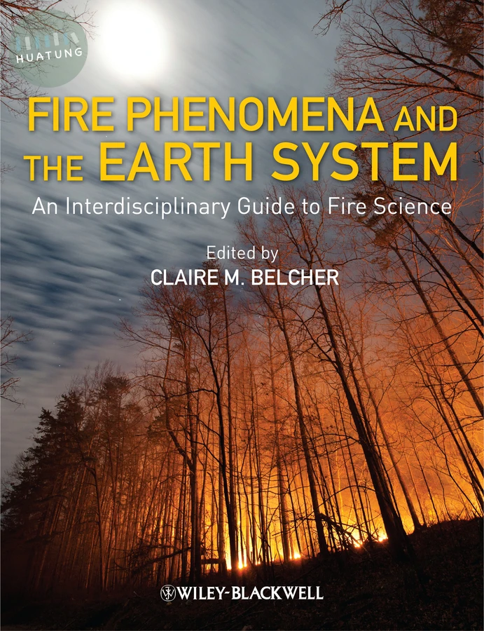 Fire Phenomena and the Earth System 