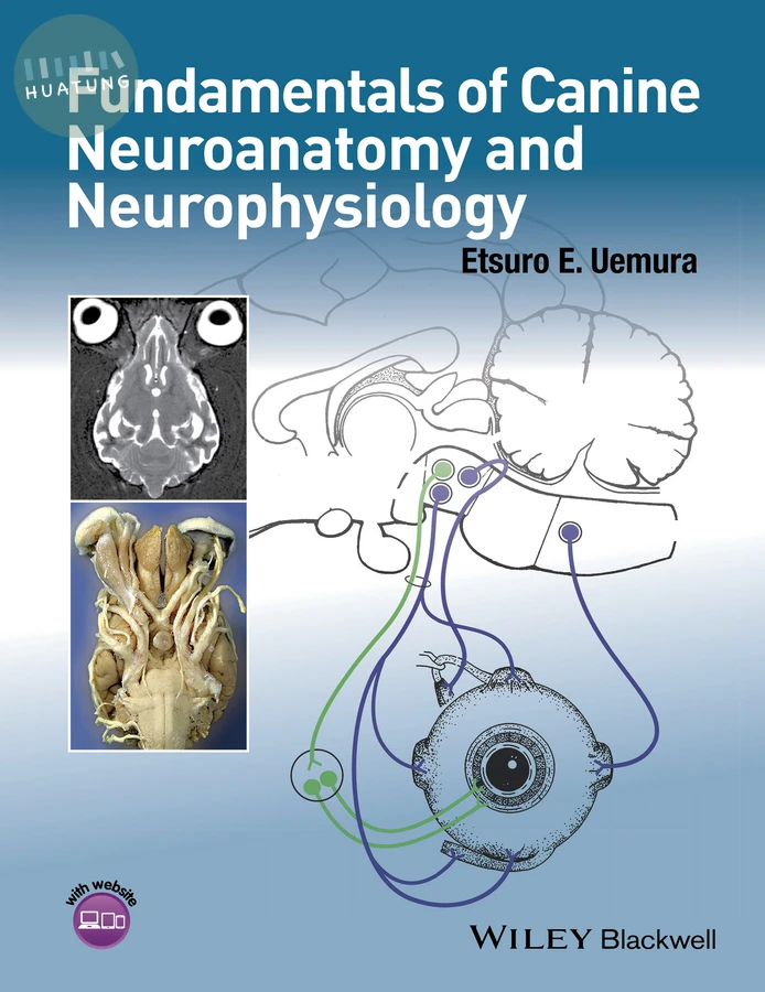 Fundamentals of Canine Neuroanatomy and Neurophysiology 