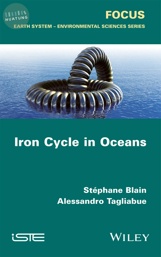Iron Cycle in Oceans 