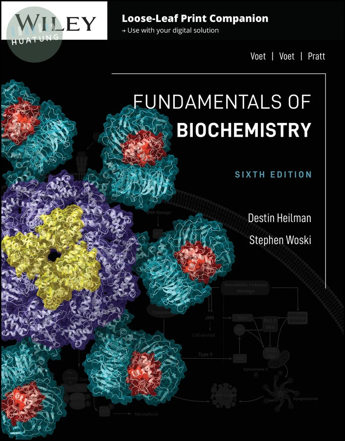 Fundamentals of Biochemistry 