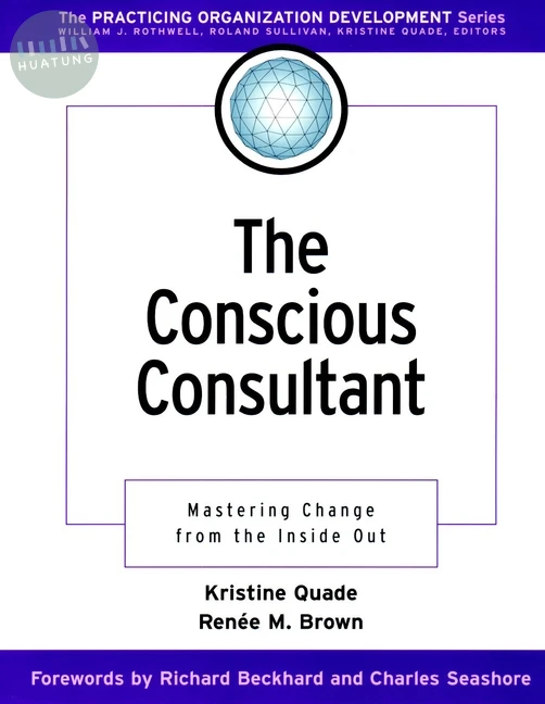 The Conscious Consultant 