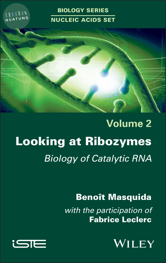 Looking at Ribozymes 