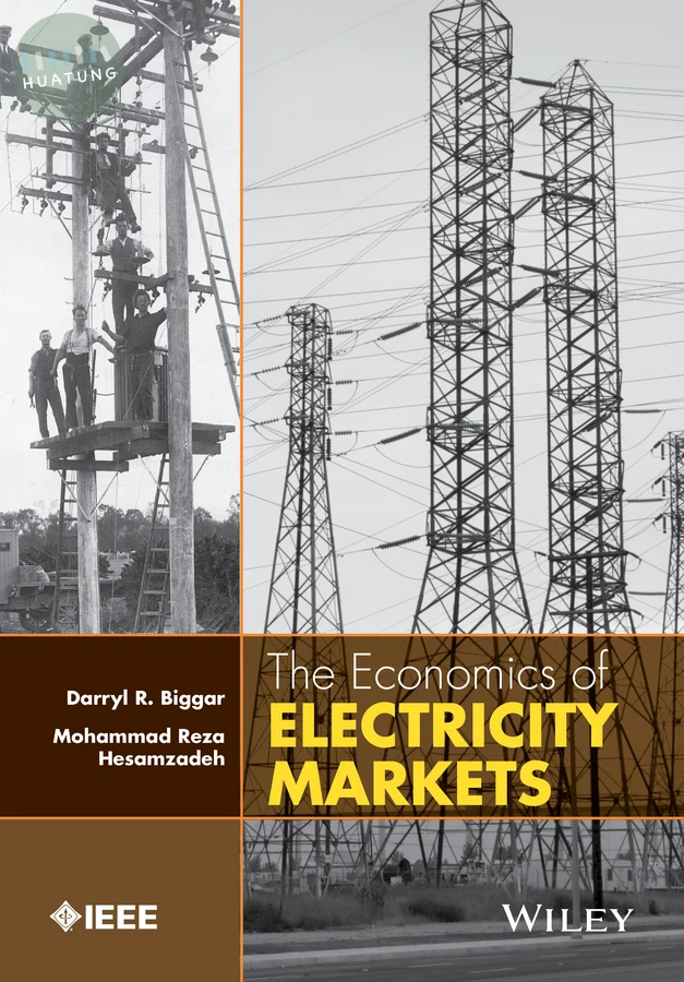 The Economics of Electricity Markets 